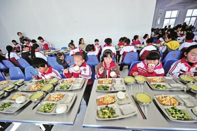 学校食堂承包垄断经营，为何利润却越来越低？